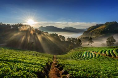 Wayanad