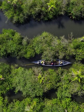 Munroe Island