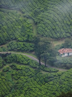 Munnar