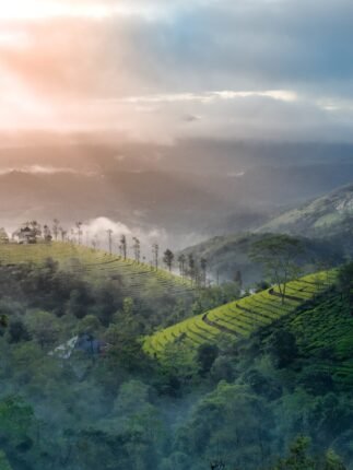 Munnar