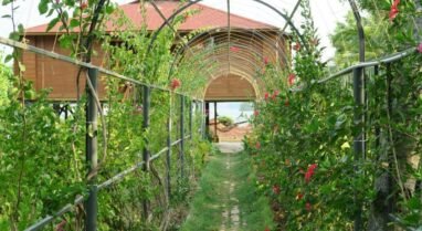 Vini’s Farm on Munroe Island