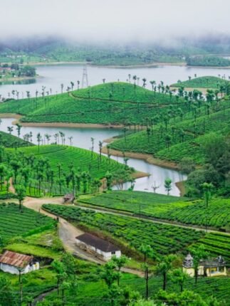 Valparai