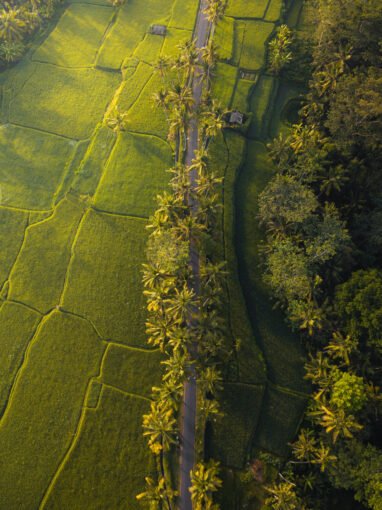 Alappuzha