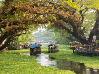 Alappuzha