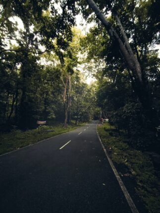 Valparai