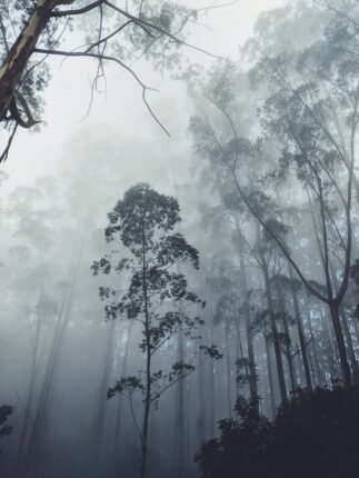 Kodaikanal