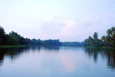 The Lake Resort Alleppey