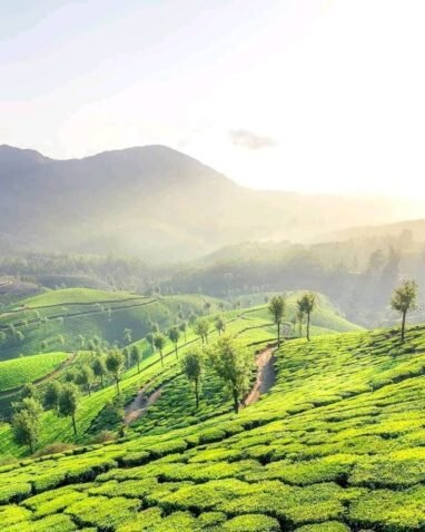 Ooty