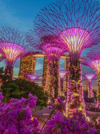 The Best Time to Visit Singapore: Weather, Festivals, and Events