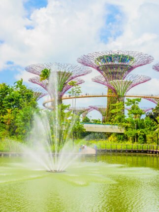 How to Plan an Affordable Singapore Family Trip with GM Tours and Travels