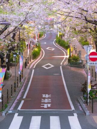 Why GM Tours’ Japan-Korea Combo is Asia’s Best Budget-Friendly Trip