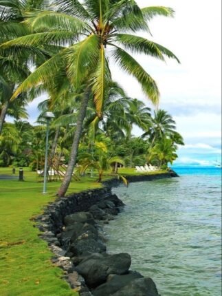 Workation to Staycation: Best Places in Kerala to Relax and Recharge